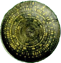 تپه زیویه