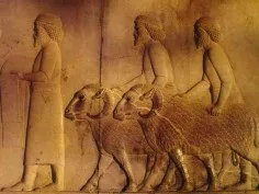 عکس های ناب آثار باستانی ایران باستان